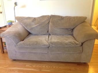 Love seat -$100 OBO 1