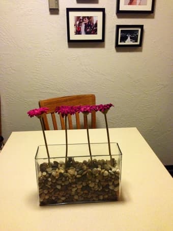 NICE FLOWER VASE $12 2