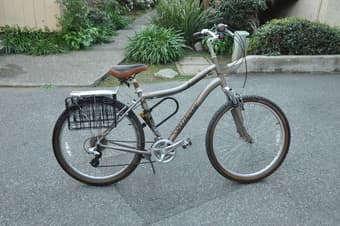 Vintage Style Woman's bike 1