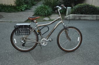 Vintage Style Woman's bike 2