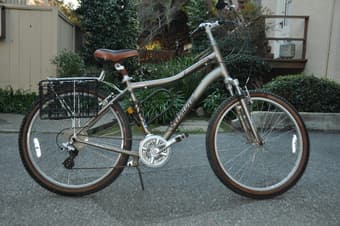 Vintage Style Woman's bike 3