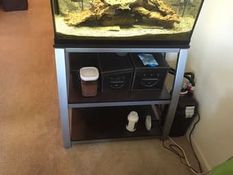 29 Gallon Fish Aquarium - Asking $200 OBO 2