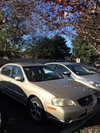2000 Nissan Maxima $3200 1