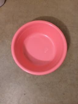 Plastic Wash Basin - 2 dollars each 2
