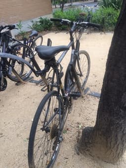 abandoned bike 2