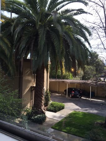 Huge Room available in 2 bedroom, 2 story appt right by Cal ave 2
