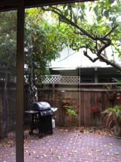 Looking for a roommate Mountain View 1195/month April 1st 3