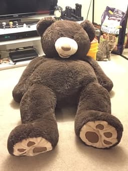 giant teddy bear 1