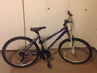 Diamond Lustre1 Bicycle for sale, $150 1