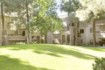 Room offered in Sunnyvale 1