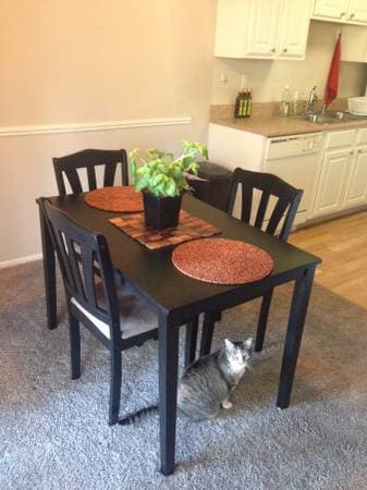Share a 2 bed/2 bath in Campbell, Move-In Date Flexible 2