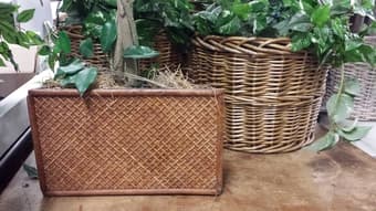 Surplus Sales has a variety of Silk Trees for Sale!! 3