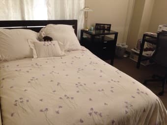 Furnished Munger summer sublet (up to 3) 1