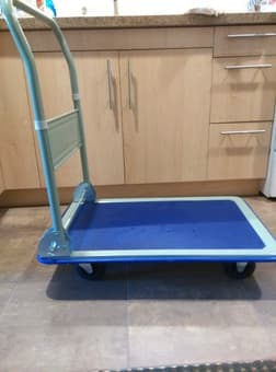 cart for rent 2