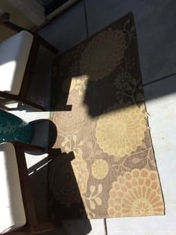 $3 outdoor rug 1