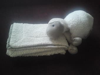 Pottery Barn sheep blanket and pilow for $10 2