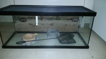 Reptile tank 30"x12"x12", 20 gallon 1
