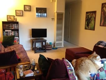 $925 2BR 1BA - Seeking Roommate for Mountain View Apartment 1