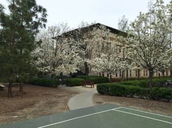 Fully Furnished Studio for Stanford Affiliates 1