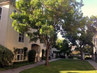 Room in Rains Apartments! Male only. Need Stanford affiliation! $990 1