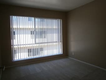URGENT: need housemate for 2br/1ba apartment! $1230/mo 3