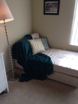 Cream colored chaise lounge: $50 obo 1