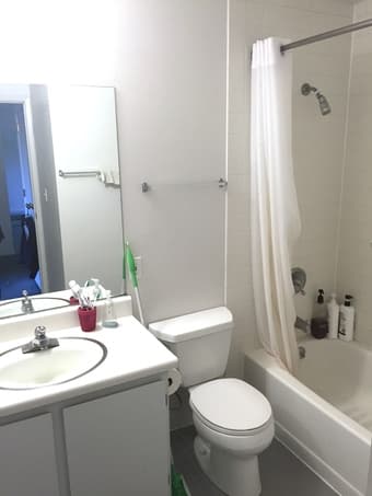 $1,077/month 1BR summer sublet in 4BR Rains, female 2