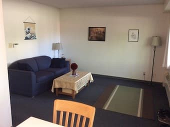 Room in EV 2BR for sublet (male), 6/20--7/29, $1000/month 1