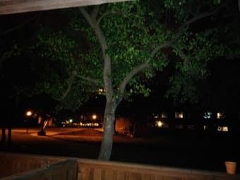 Room for MALE Stanford affiliate in EV: 17June to 2 Sept 2015 1