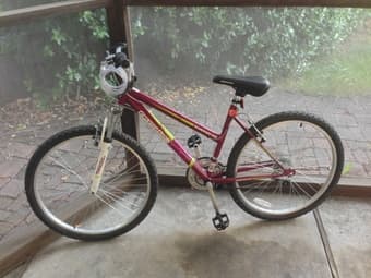 Women roadmaster, 60 dollars 1