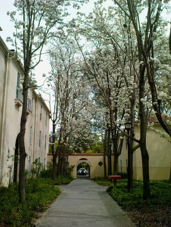Room available in Stanford (Rains graduate housing) for the summer 2