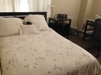 Summer sublet in Munger 3 3