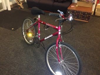 Renting a Bicycle Over the Summer 1
