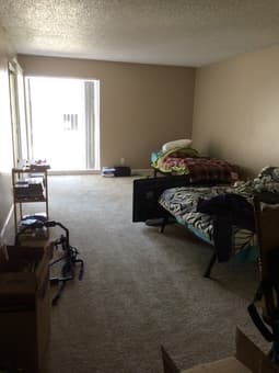 Looking for Female Roommate--$500/mo! 1