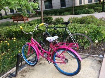 Ladies 24" Schwinn Cruiser Bike - $100 (lock included) 1