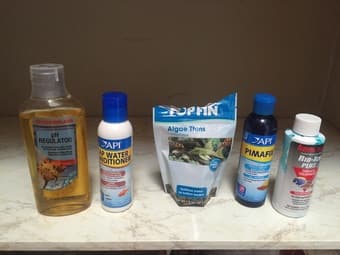 Fluval View 4 gallon fish tank + accessories ($50) 2