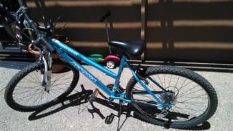 Two bicycles for only $99 3