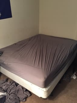 Queen Mattress, Box Spring, and Support for $250 1