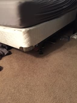 Queen Mattress, Box Spring, and Support for $250 2