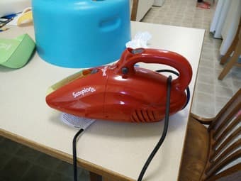 Oster contertop oven, fake plants, IKEA rug, Dirt devil vaccum 2