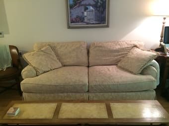 Down Feather Sofa - $300 2