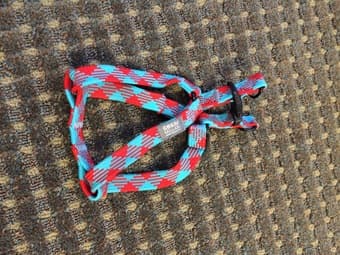 Dog stuff 2