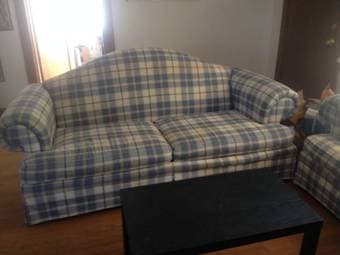 Couch and love seat 1