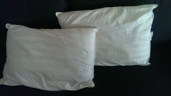 complete bed set 50$ 2