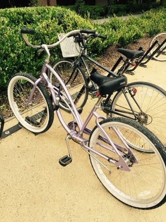 Cute Female Cruiser bike 1