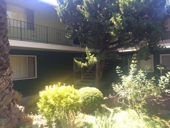Palo Alto斯坦福附近Apartment（2室1厅2卫1厨）$1325/月 1