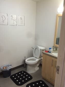 Junior Studio 08/19 to 09/05 inside of Campu for $ 514 2