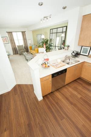Luxury 1Br Apartment for Non-Luxury Price! - $1250 per month 2