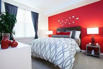 Luxury 1Br Apartment for Non-Luxury Price! - $1250 per month 3