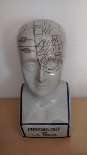 ceramic phrenology head - $40 1